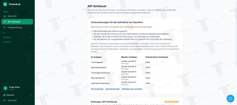 API-Schlüssel: welche Aufgabe den Schlüssel welches Anbieters braucht